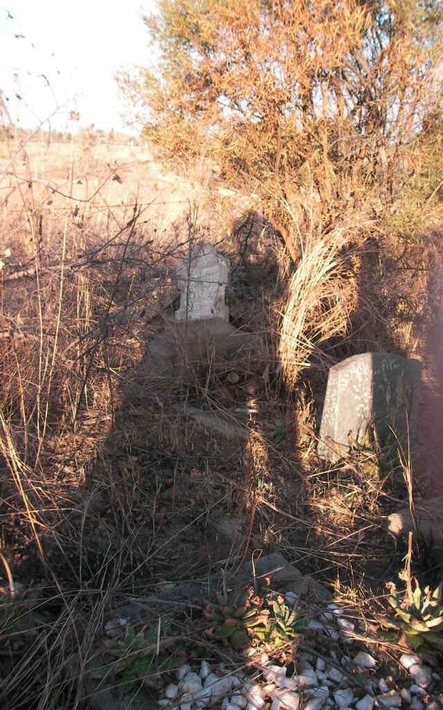 2. Overview / Oorsig