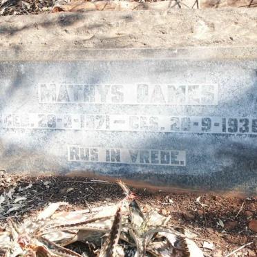 DAMES Mathys 1871-1936