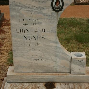 N - Vanne :: Surnames - N