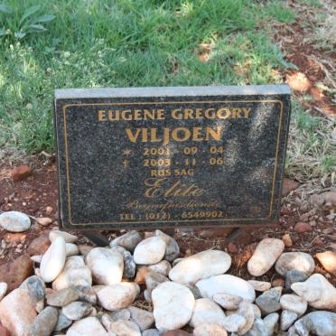 VILJOEN Eugene Gregory 2001-2003