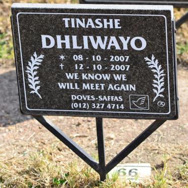DHLIWAYO Tinashe 2007-2007