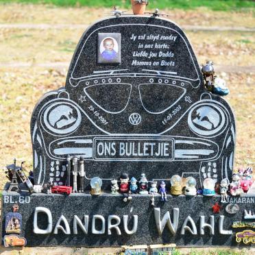 WAHL Dandrú 2001-2003