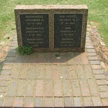 Irene Concentration Camp B