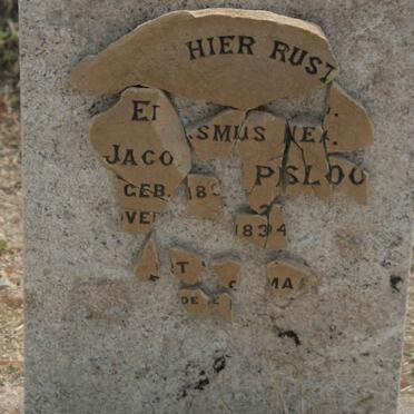 PRINSLOO Erasmus Daniel Jacobus 1830-1894