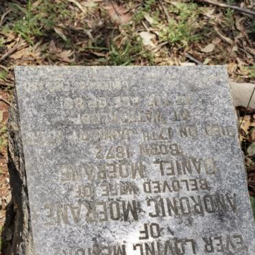 MOERANE Andronic 1872-1955