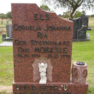 ELS Cornelia Johanna Ria geb STEYNVAARD 1951-1993