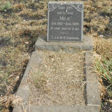 COMBRINK Mikie 1907-1909