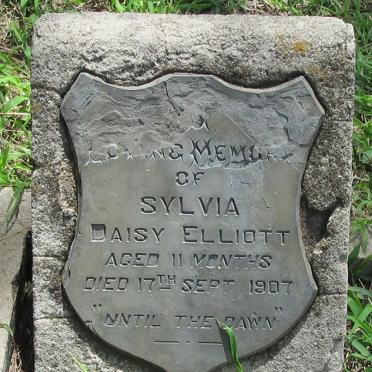 ELLIOTT Sylvia -1907