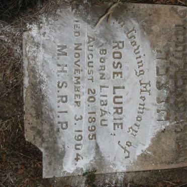 LURIE Rose 1895-1904