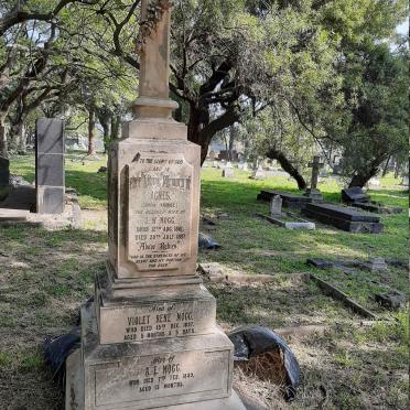 MOGG Agnes nee KRAUSE 1861-1897 :: MOGG Violet Rene -1897 :: MOGG A.E. -1889