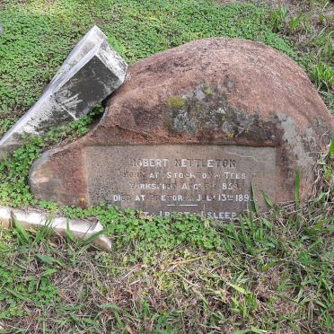 N - Vanne :: Surnames - N