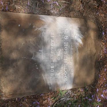 ROSENBLOOM C.C.S. -1908