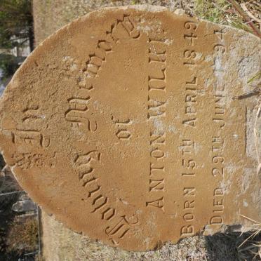 WILKI Anton 1849-1894