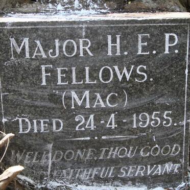 FELLOWS H.E.P. -1955