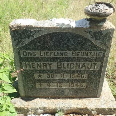 BLIGNAUT Henry 1946-1946