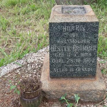 BRUMMER Hester 1884-1960