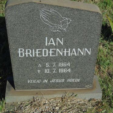 BRIEDENHANN Ian 1964-1964