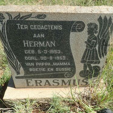 ERASMUS Herman 1953-1953