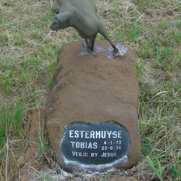 ESTERHUYSE Tobias 1973-1974