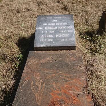 FITCHAT Anna Cornelia Maria nee NEL 1879-1935 :: FITCHAT Jacobus Hendrik 1900-1920