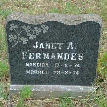 FERNANDES Janet A. 1974-1974