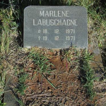 LABUSCHAGNE Marlene 1971-1971