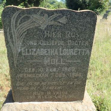 MOLL Elizabetha Louretta 1950-1950