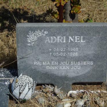 NEL Adri 1968-1968
