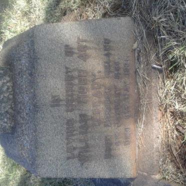 O'GRADY William Hugh Art 18?6-1931