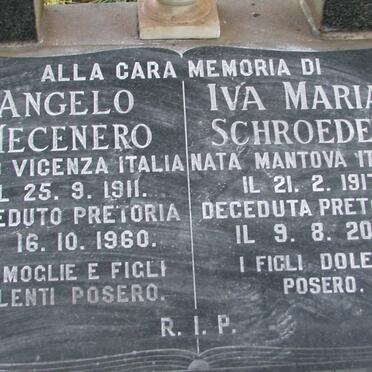 MECENERO Angelo 1911-1960 :: SCHROEDER Iva Maria 1917-2007