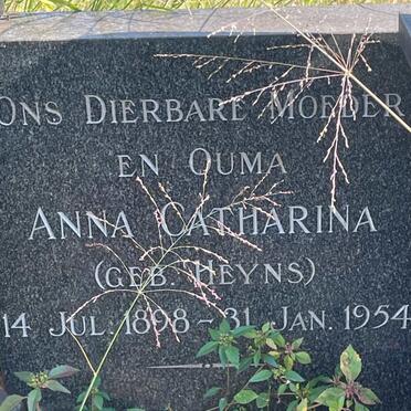 STEYN Petrus Paulus Albertus 1892-1954 &amp; Anna Catharina nee HEYNS 1898-1954