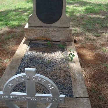 WILLCOX Alexander Christian -1915 _1