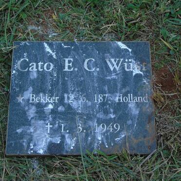 WUST Cato E.C. 1873-1949
