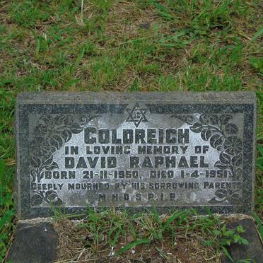 GOLDREICH David Raphael 1950-1951