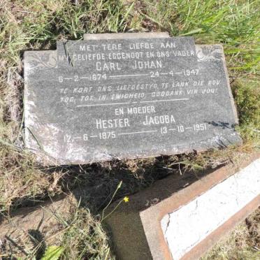 ANKIEWICZ Carl Johan 1874-1947 & Hester Jacoba 1875-1951_1