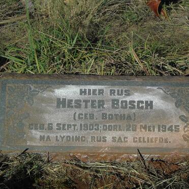BOSCH Hester nee BOTHA  1903-1945