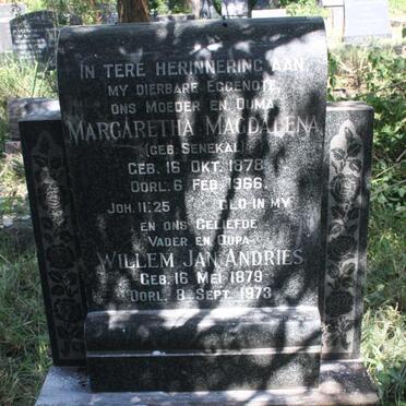 BOTHA Willem Jan Andries 1879-1973 &amp; Margaretha Magdalena SENEKAL 1878-1966