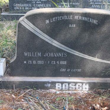 BOSCH Willem Johannes 1903-1968
