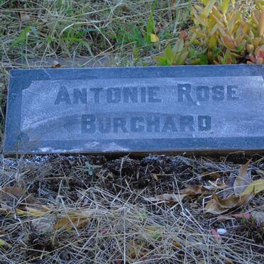 BURCHARD Antonie Rose :: BURCHARD Hans Georg