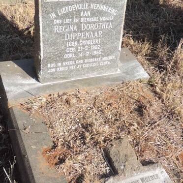 DIPPENAAR Regina Dorothea nee GROBLER 1902-1955