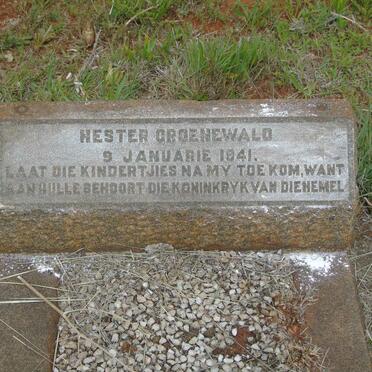 GROENEWALD Hester 1941-1941