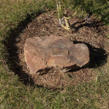 NORTJE Grant 1965-1997