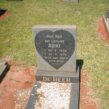 BEER Adri, de 1974-1974