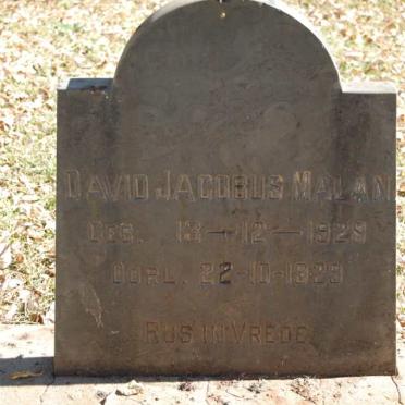 MALAN David Jacobus 1929-1929