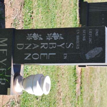 MEYER Sybrand :: MEYER Leon