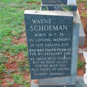SCHOEMAN Wayne 1978-1981