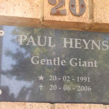 HEYNS Paul 1991-2006
