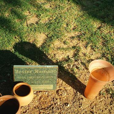 RAMANO Bester 1961-2005