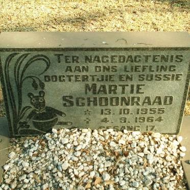 SCHOONRAAD Martie 1955-1964