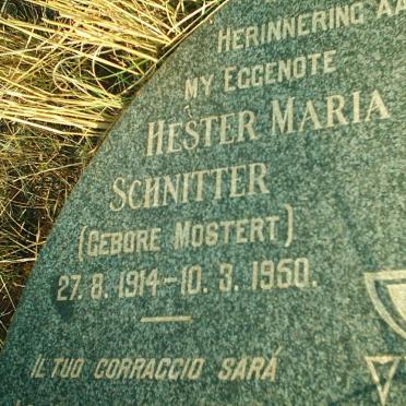SCHNITTER Hester Maria nee MOSTERT 1914-1950